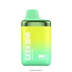 Geek Bar Schweiz - Geek Bar df8000 Einweg-Vaporizer 42648181 Miami-Minze